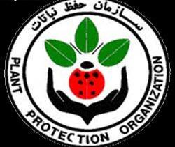 تاکید س...